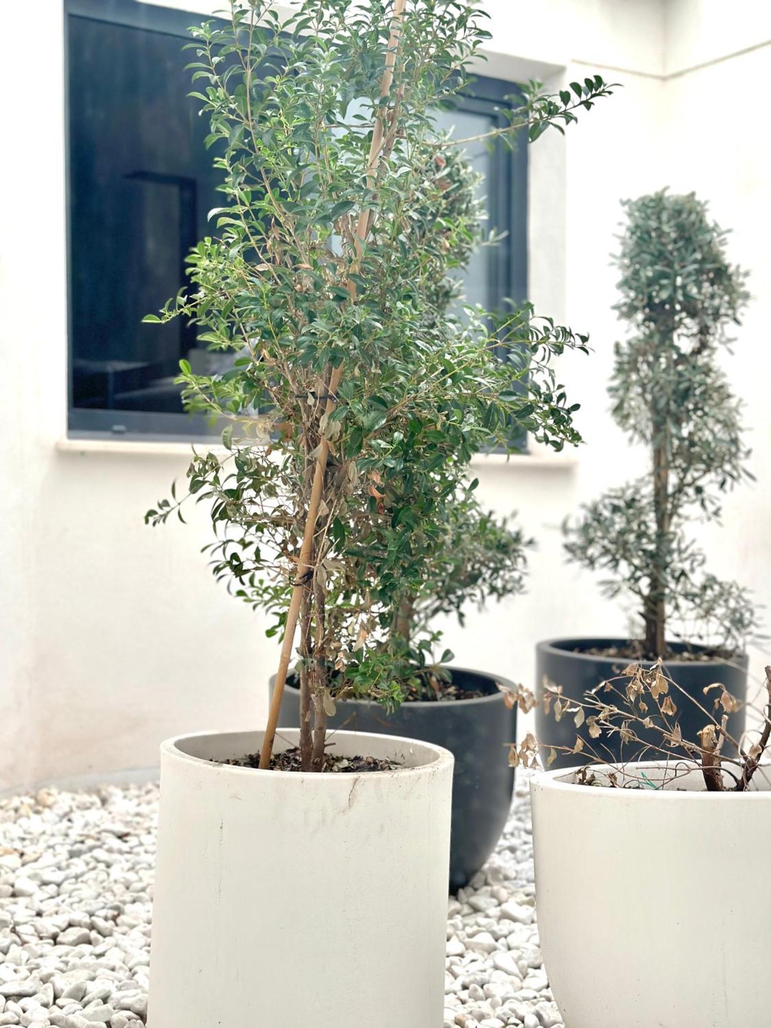 Hostel Alicante A-Cero Living المظهر الخارجي الصورة